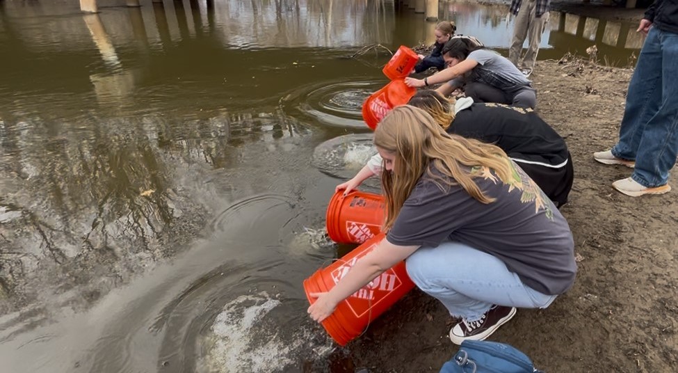 Bucket student fish.jpg